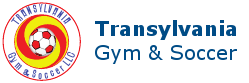 FC Transylvania